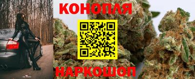 сатива Чебоксары