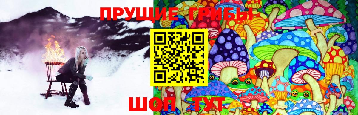 Галлюциногенные грибы Cubensis Междуреченск