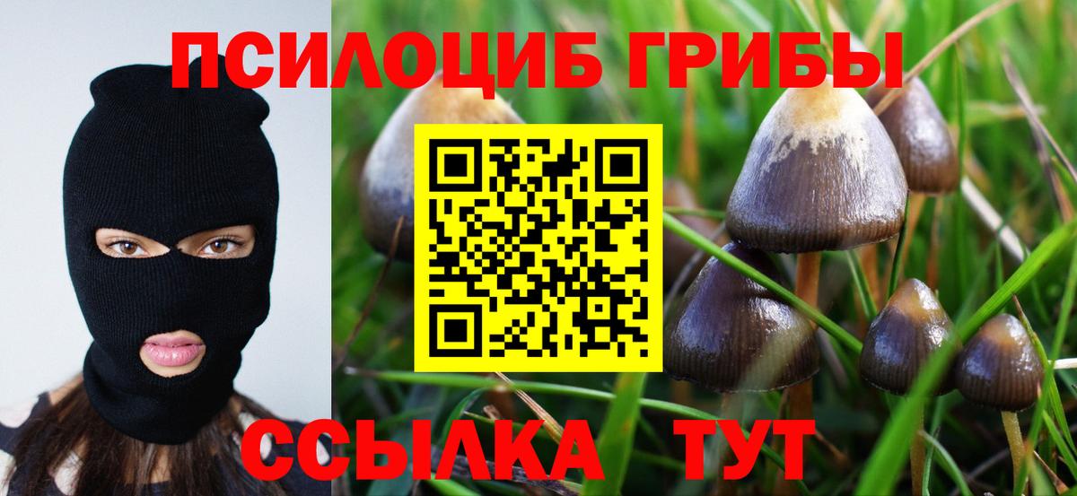 Галлюциногенные грибы Magic Shrooms  Псилоцибиновые грибы Psilocybine cubensis  Междуреченск  Вход с VPN 